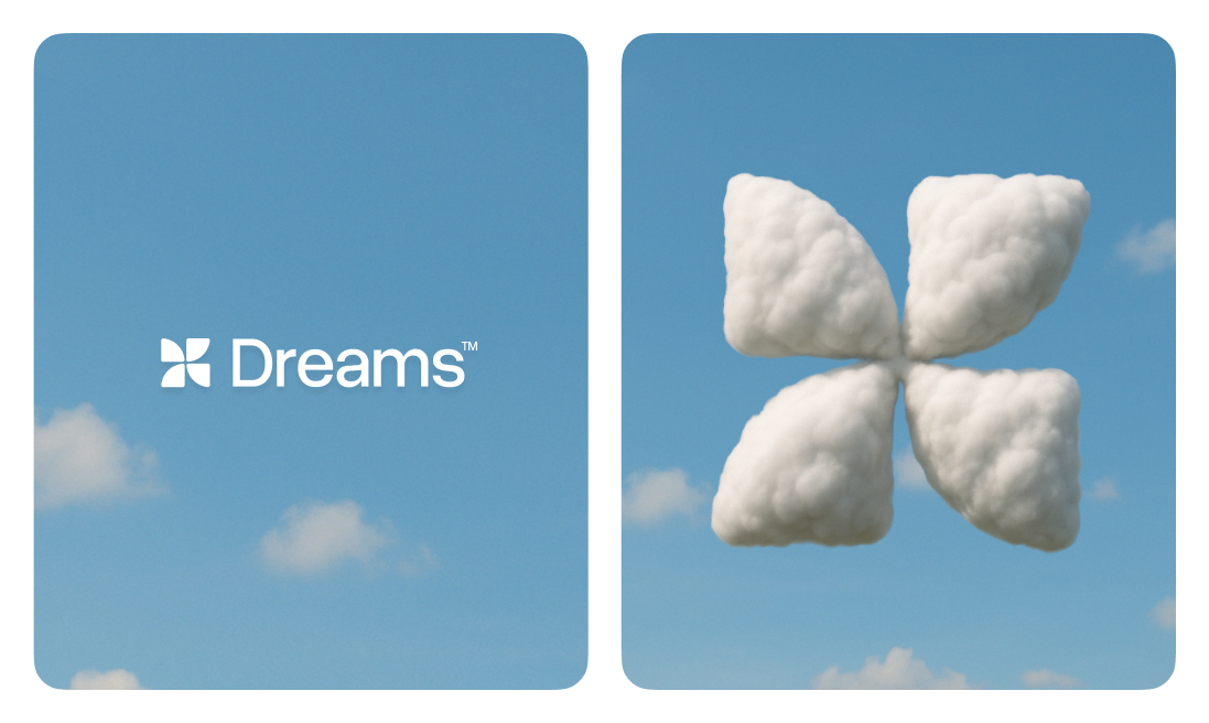 Dreams, Simple Dreams - ash