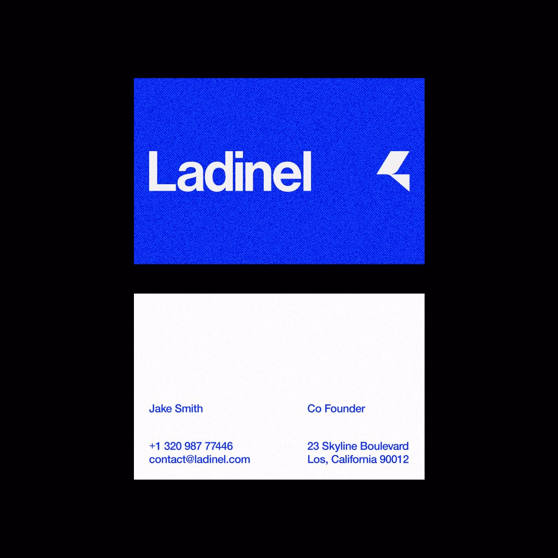Ladinel® — Biz Card Exploration - Vishesh