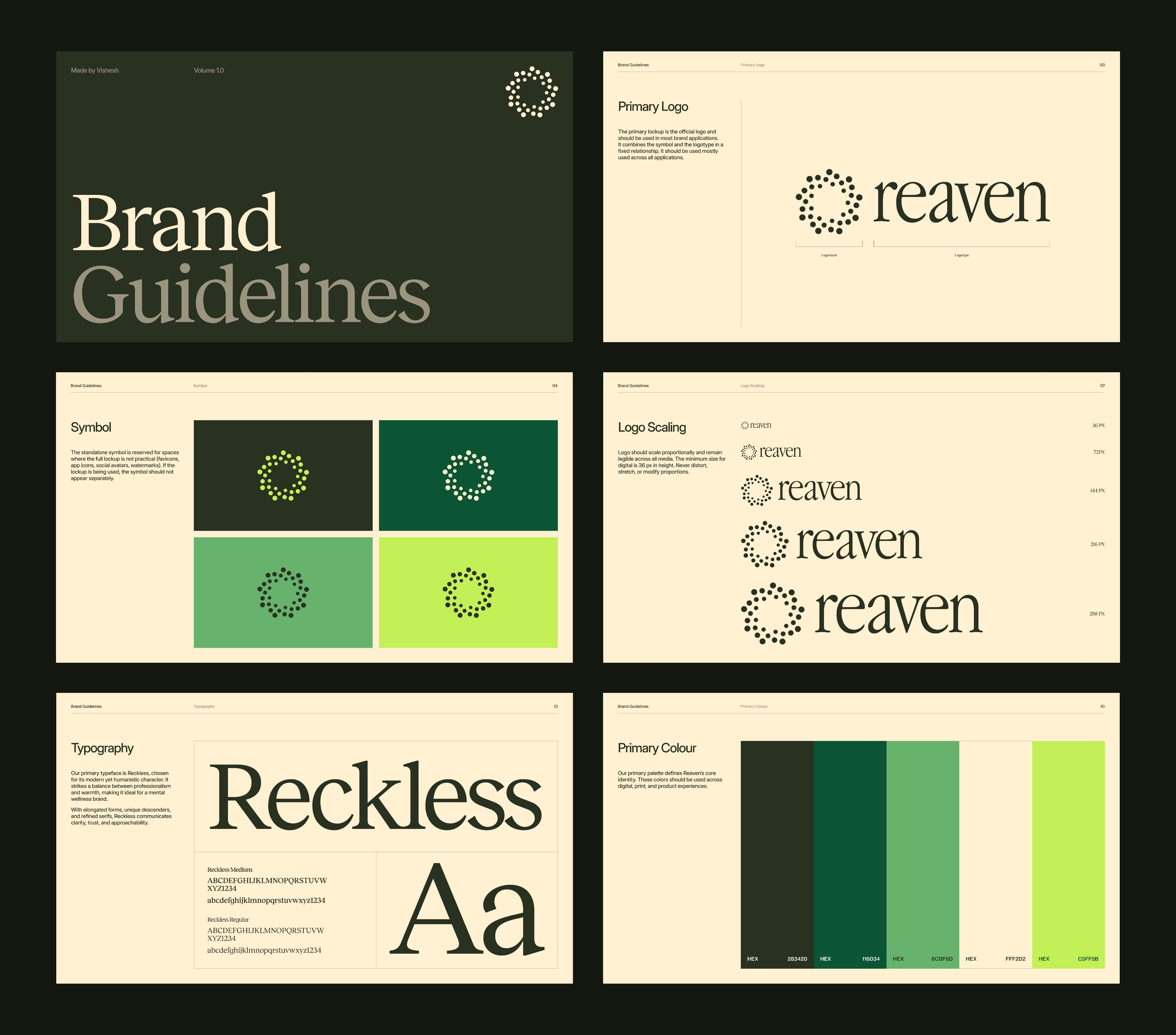 brand guidelines - vishesh