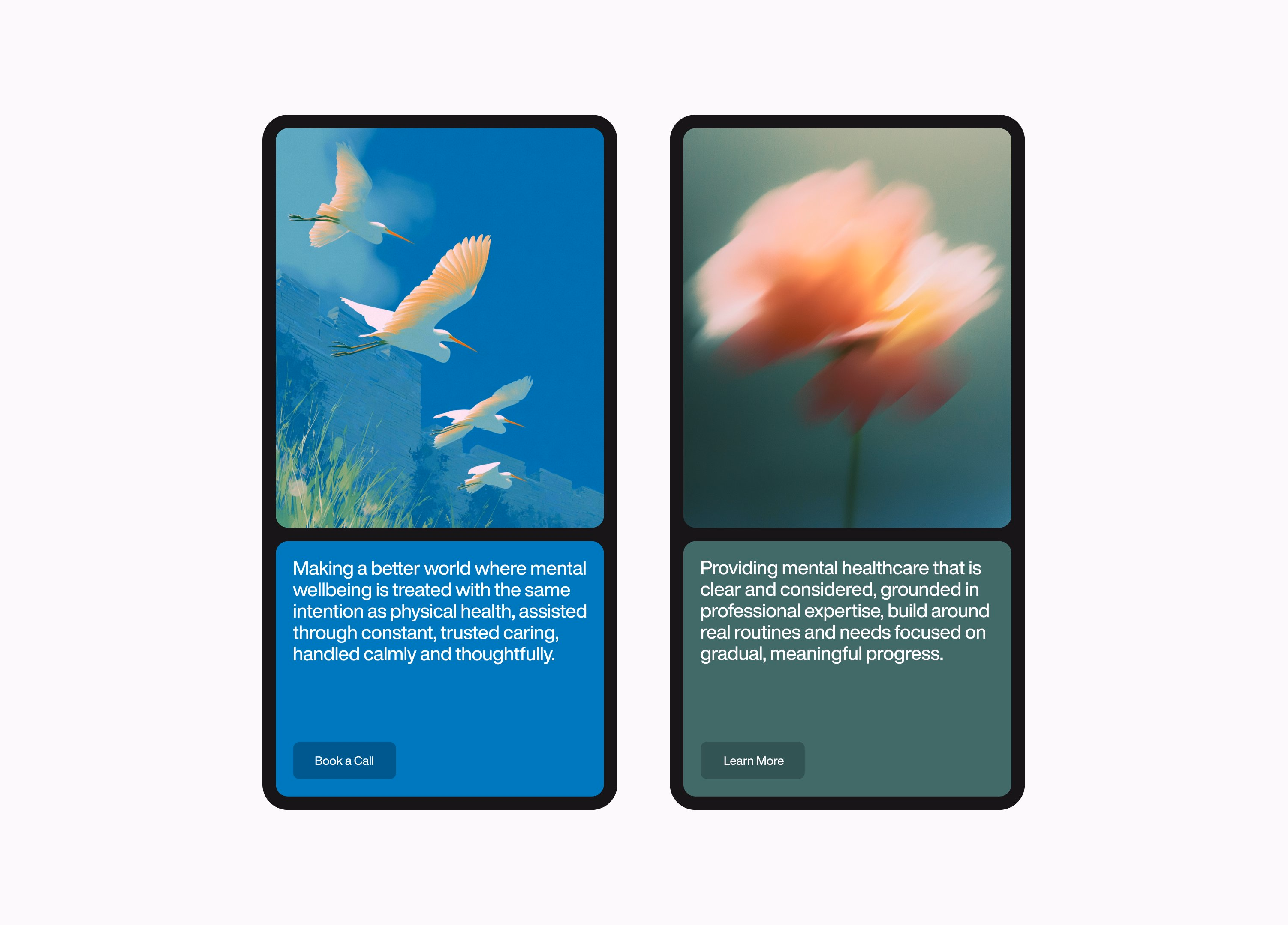 web section for recent branding - vishesh