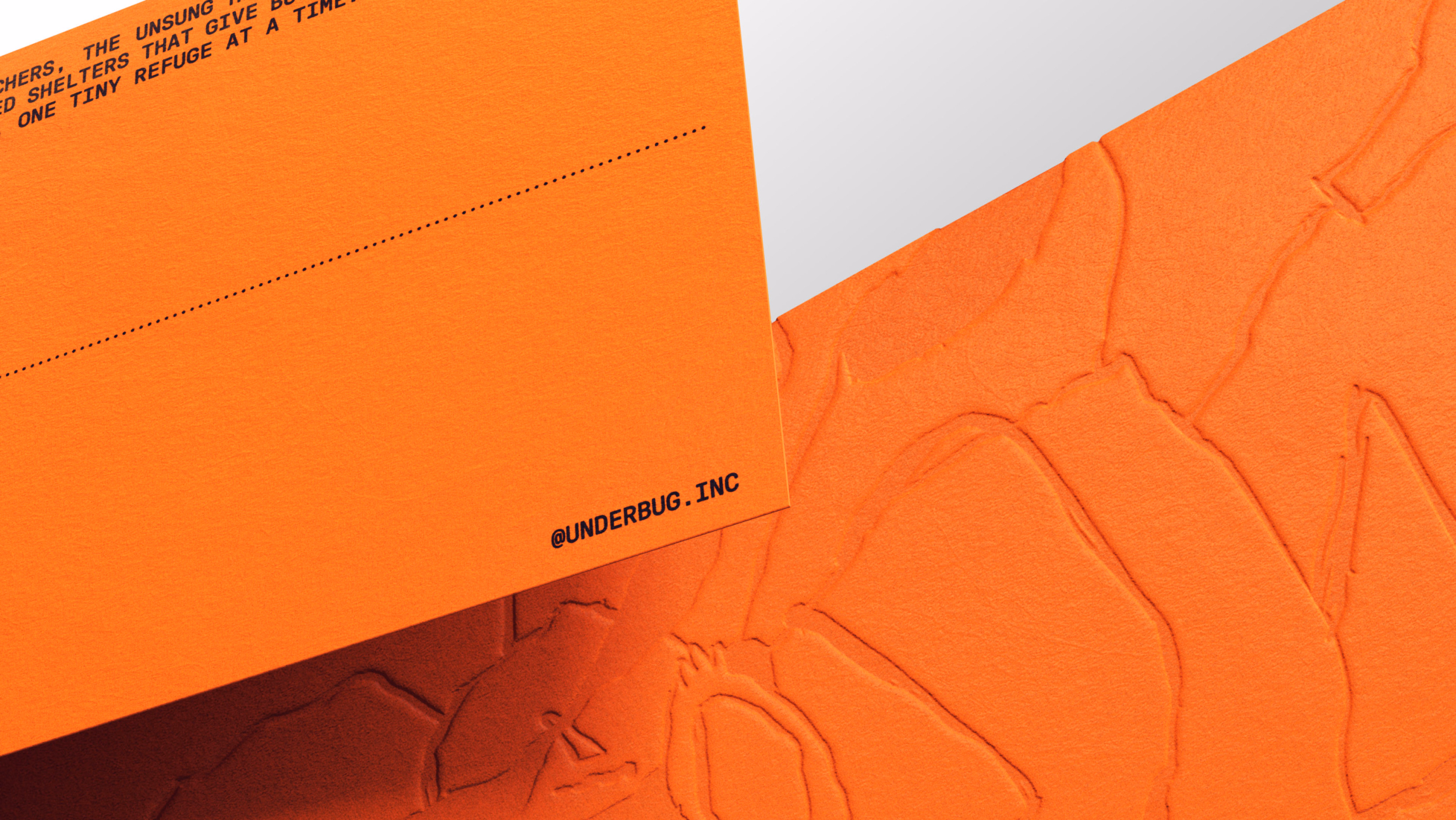 Twice Shy knows how to take any product and transform it into a mag... - thisisgrey