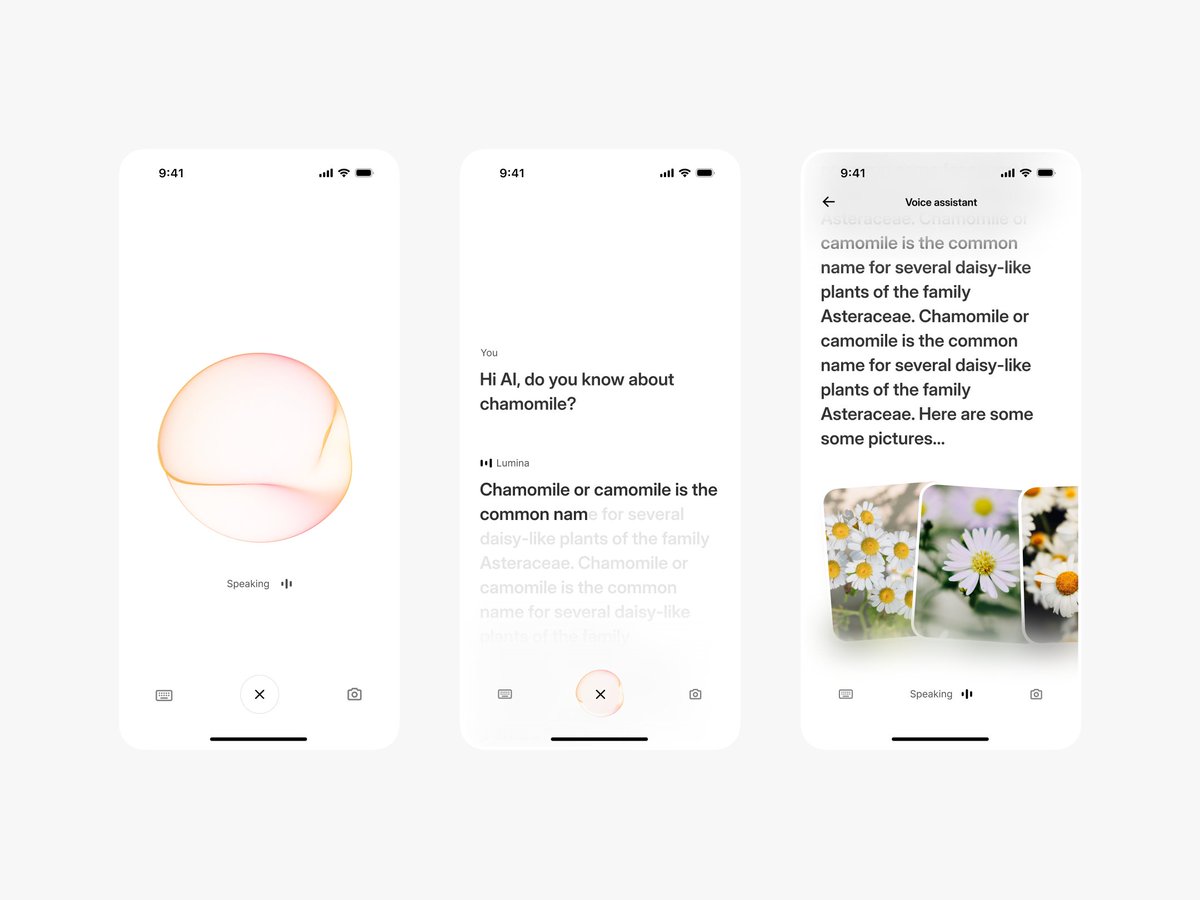 Recent AI app work - Adrian