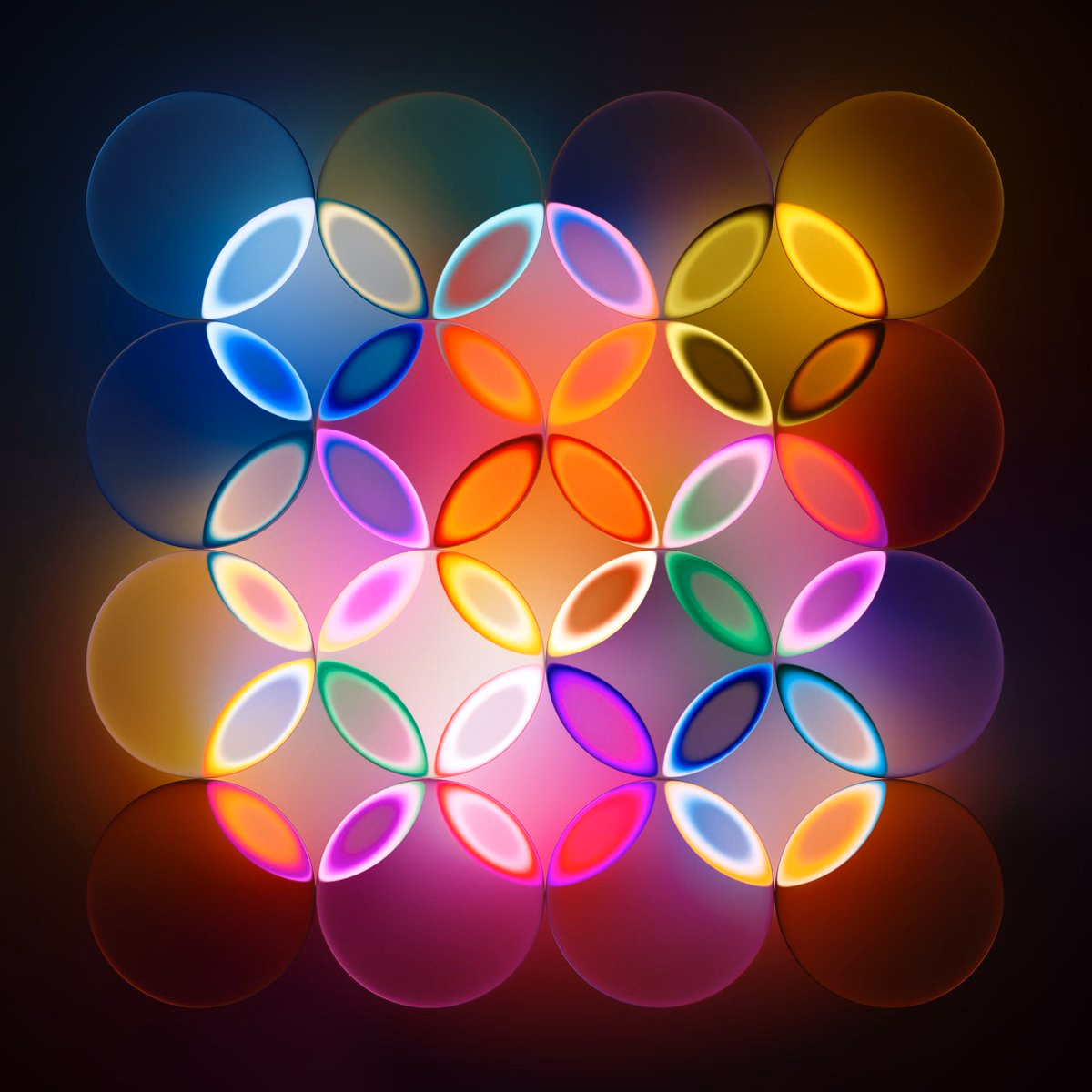 Petals of Color - Damonxart