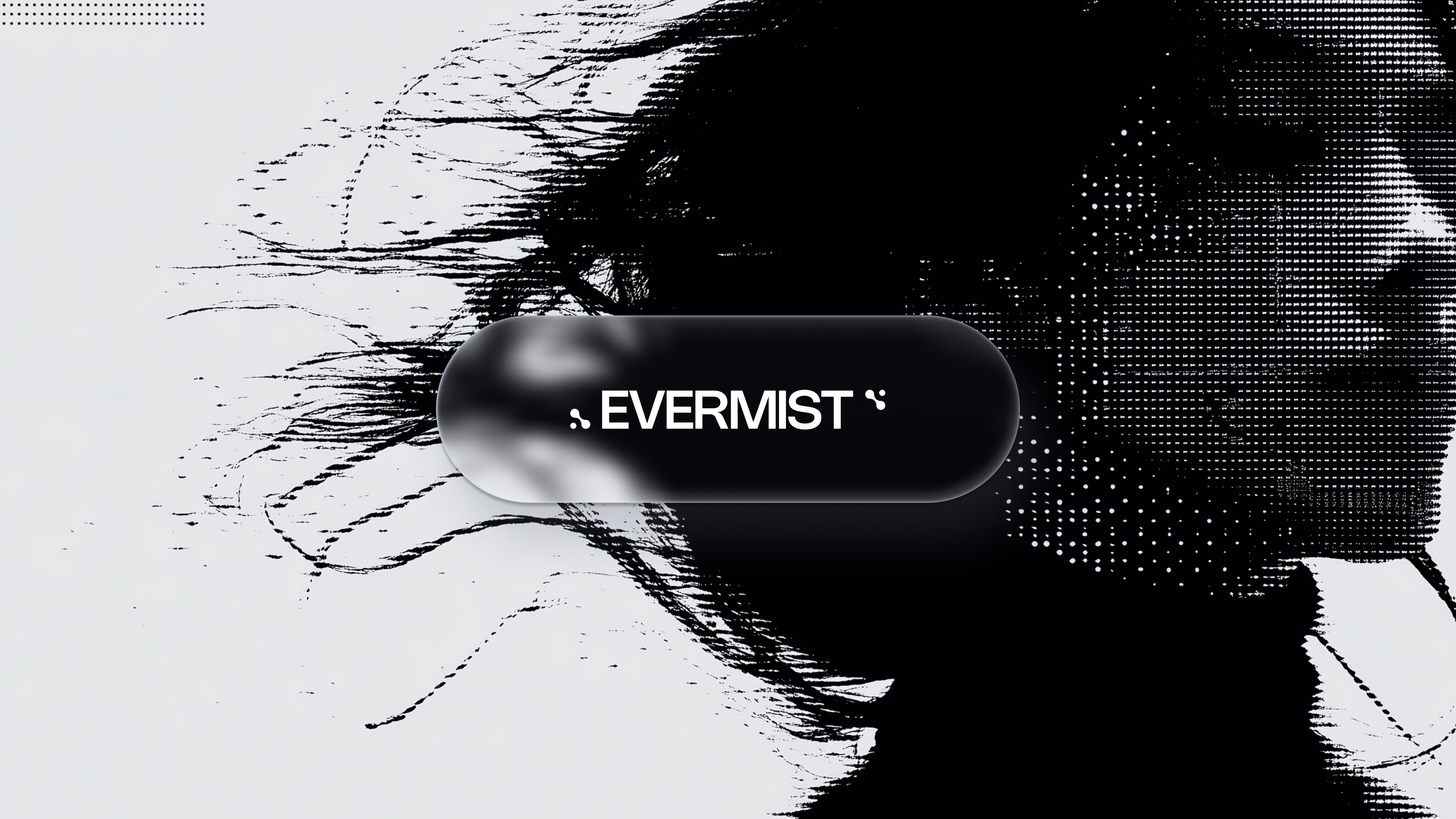 EVERMIST — A conceptual brand built around fluid identity Sharing s... - Keileth