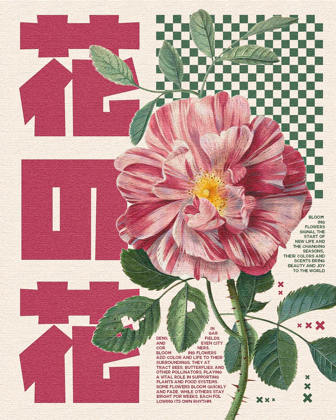Japan-core with a floral punch. - BAUDIN©