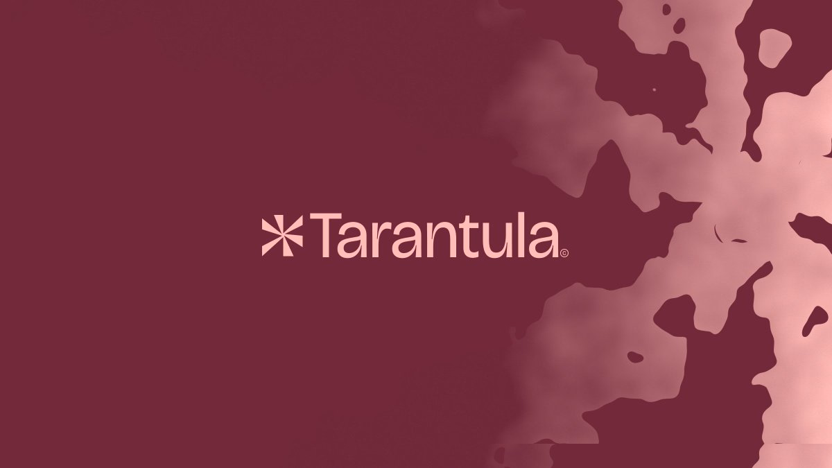 Visual Identity — Tarantula® Got a project? I’m open for commission... - Yahyavision — Logo & Brand Designer