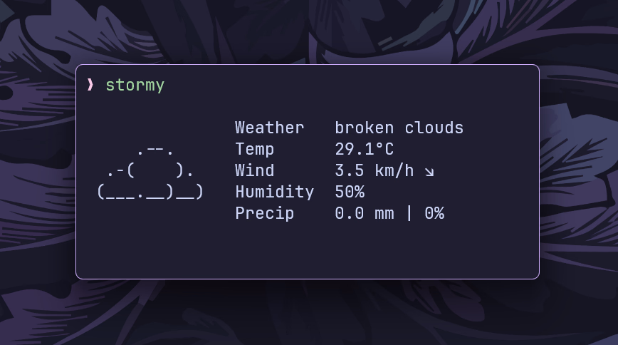 stormy - a minimal, neofetch-style weather cli written in go - ashish