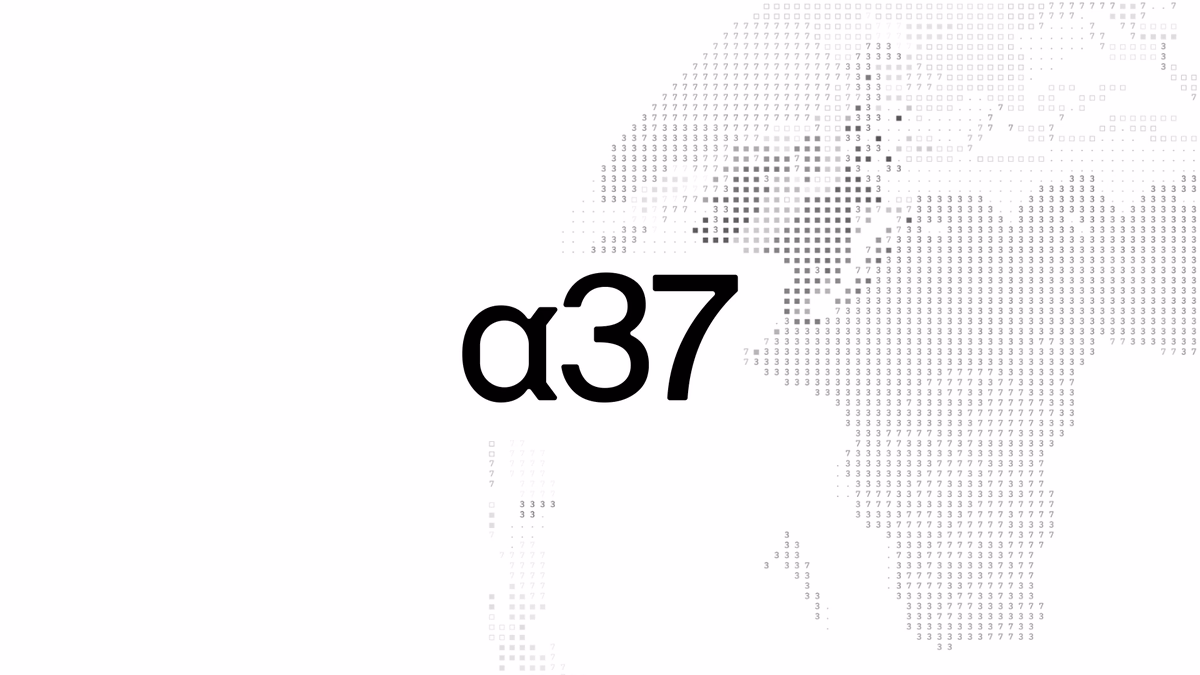 Brand identity for a37 w/ signature ASCII - Xander