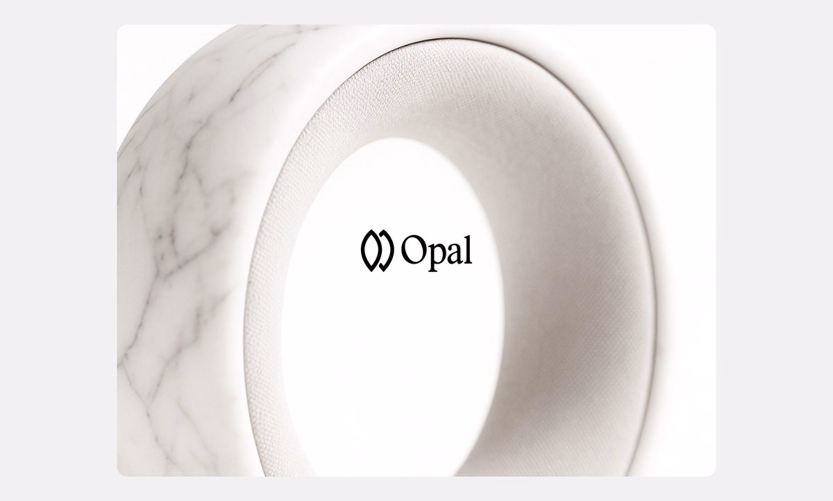 Opal Visual Identity - Samuel J
