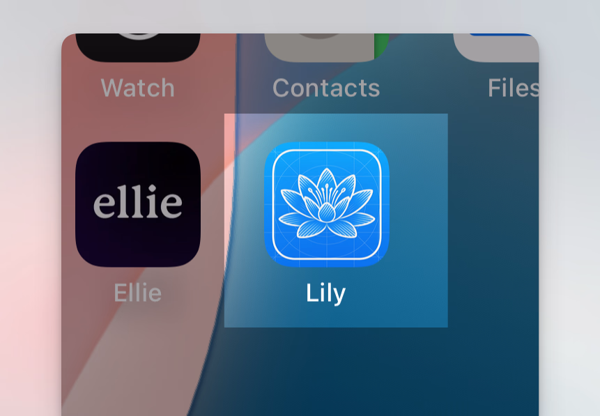Wow GPT-4o is great at making app icons "dev mode" icon for Lily - Chris Raroque