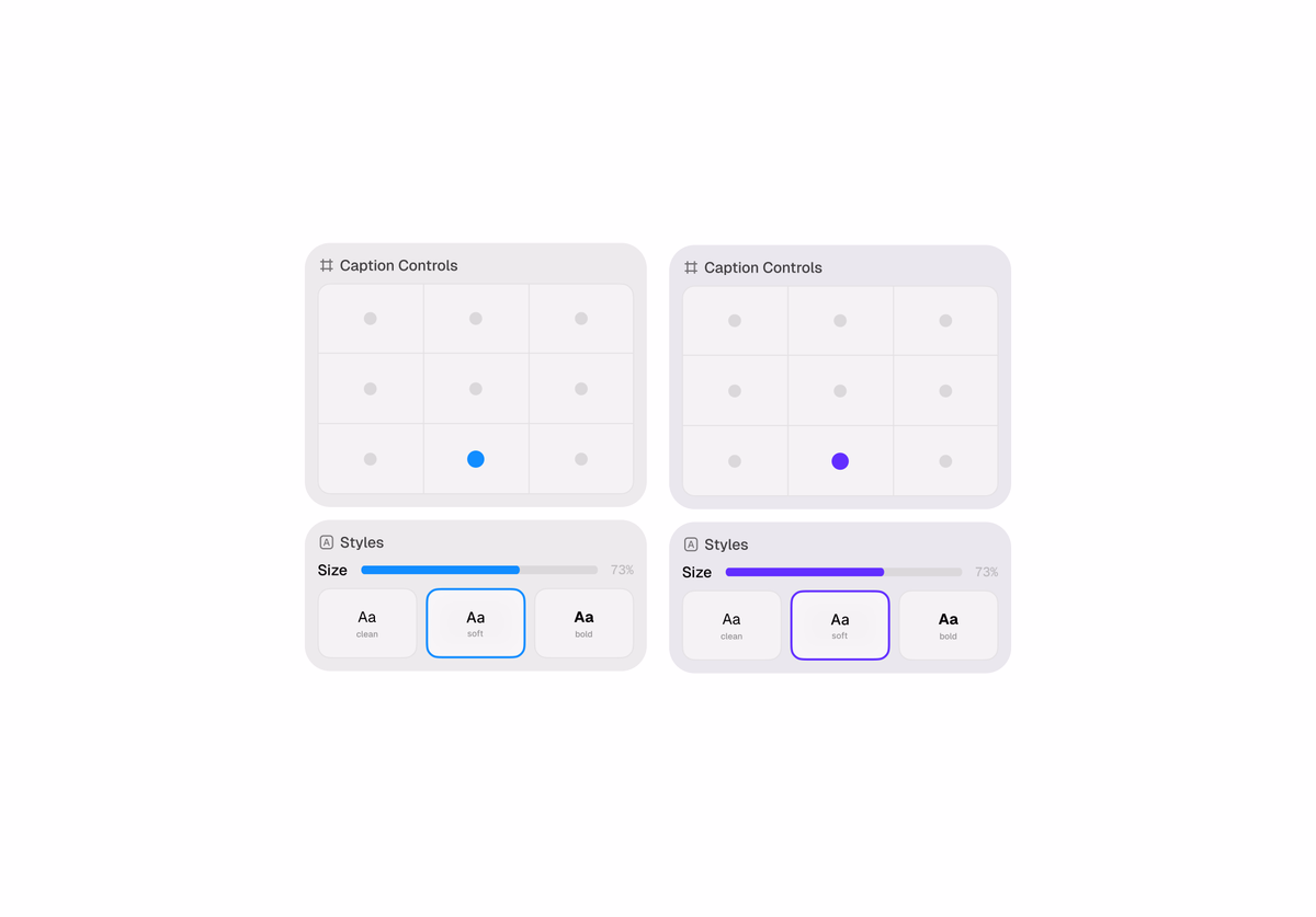 A clean dual-panel interface mockup shows caption controls and text... - max.jpg